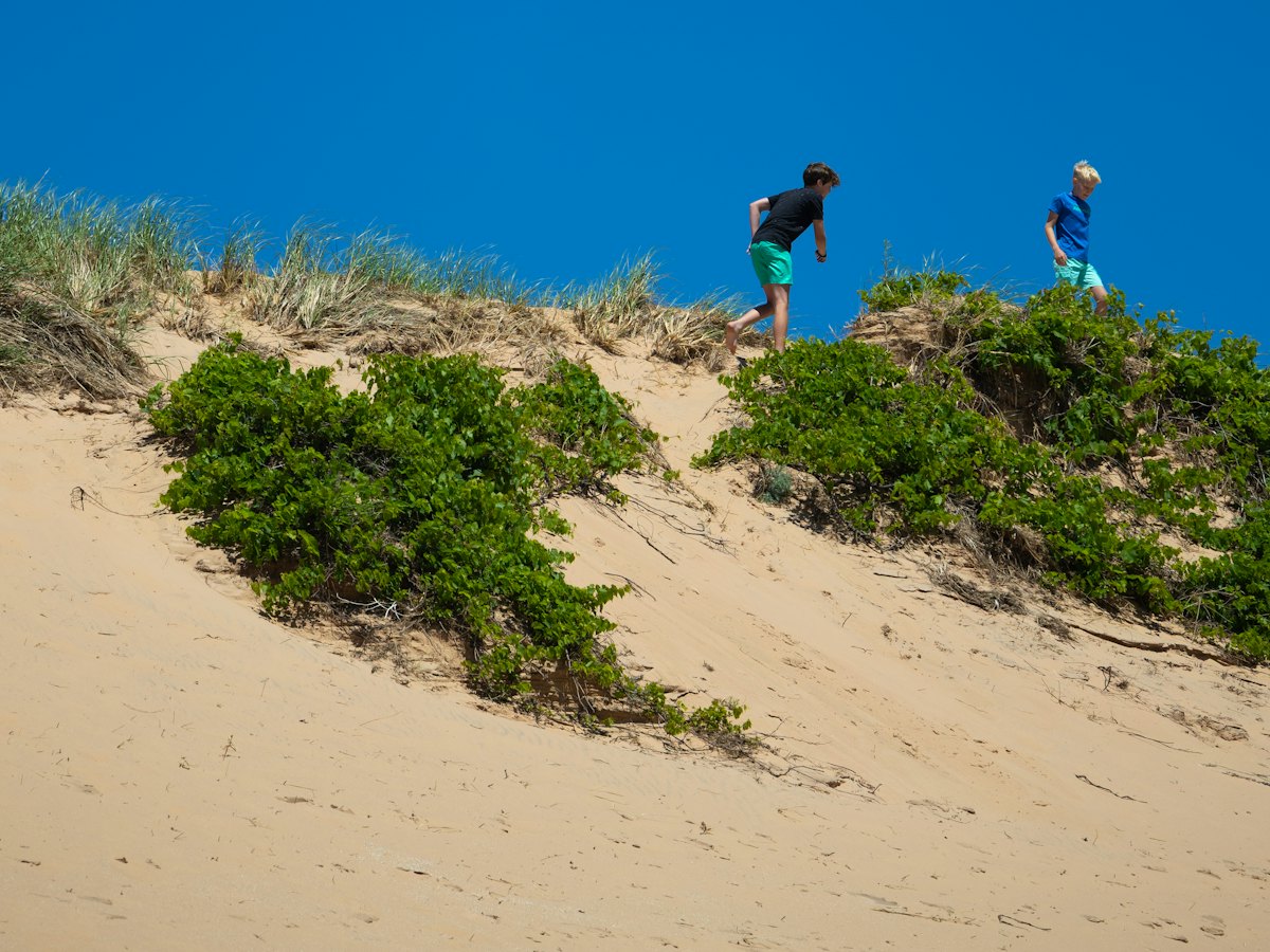 Two people climbing a planted sand dune under a blue sky.