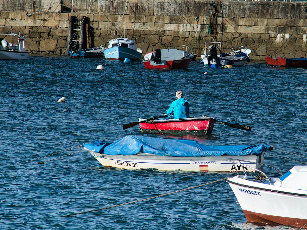 A rower in a small boat among the moorings of a harbour.
