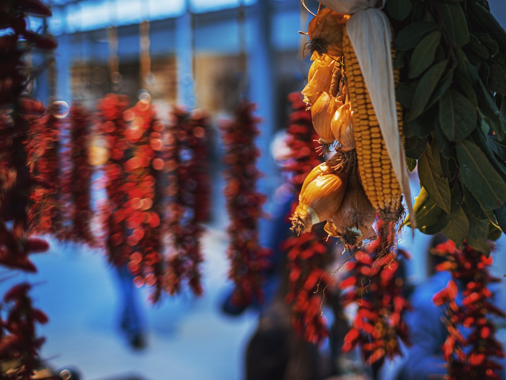 Dried chillies, seeds and spices spread across a market table.