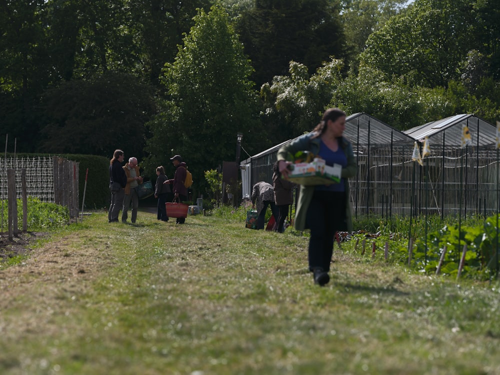 A woman carries a crate of fresh vegetables past greenhouses on a farm