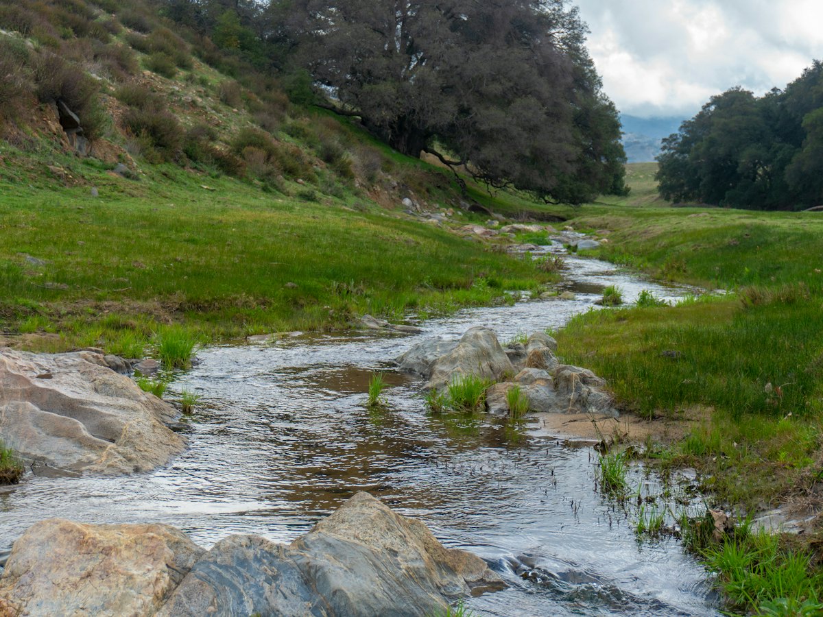A creek running through a green meadow.