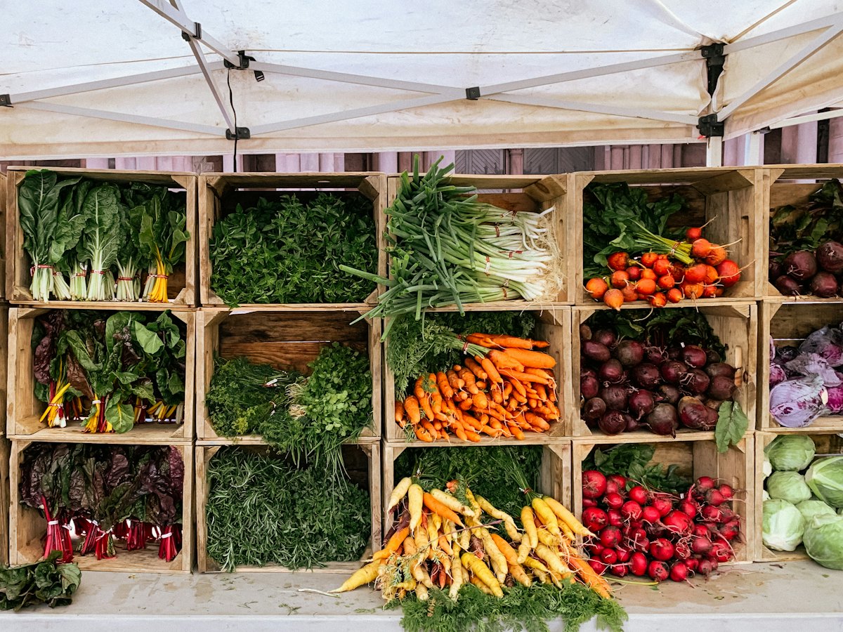 Crates of fresh vegetables at a farm stand.