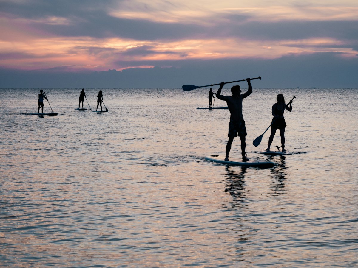 Paddleboarders on calm water at sunset.